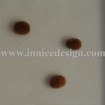 Resin panel with coffee bean inside